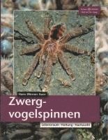 bokomslag Zwergvogelspinnen