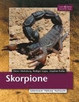 bokomslag Skorpione