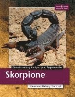 Skorpione 1