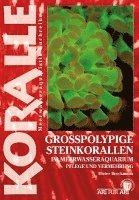 bokomslag Großpolypige Steinkorallen