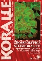 Großpolypige Steinkorallen 1