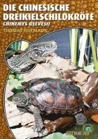 Thomas Hofmann - Art für Art: Die Chinesische Dreikielschildkröte, Häftad