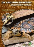 Manfred Rogner - Die Spaltenschildkröte, Häftad