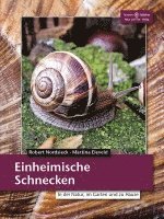 bokomslag Einheimische Schnecken