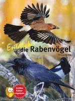 bokomslag Entdecke die Rabenvögel