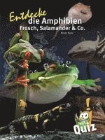 bokomslag Entdecke die Amphibien