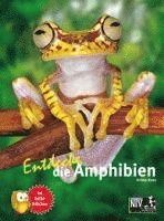 Entdecke die Amphibien 1