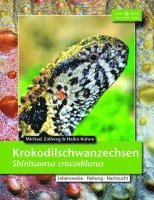 bokomslag Krokodilschwanzechse