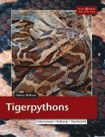 bokomslag Tigerpython