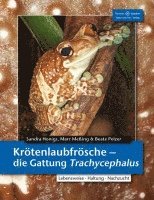 Sandra Honigs, Marc Meßing, Beate Pelzer - Krötenlaubfrösche, Häftad