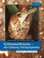 Krötenlaubfrösche 1