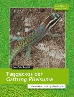Hans-Peter Berghof - Taggeckos der Gattung Phelsuma, Häftad