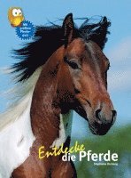 Stephanie Hornung - Entdecke die Pferde, Inbunden