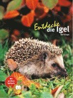 bokomslag Entdecke die Igel