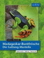 bokomslag Madagaskar-Buntfrösche