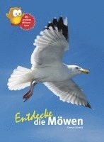 bokomslag Entdecke die Möwen