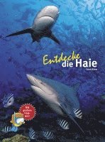 bokomslag Entdecke die Haie