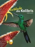 bokomslag Entdecke die Kolibris