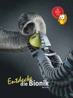 bokomslag Entdecke die Bionik