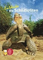 bokomslag Entdecke die Schildkröten