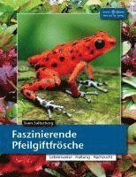 Faszinierende Pfeilgiftfrösche 1