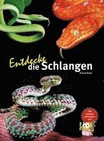 bokomslag Entdecke die Schlangen