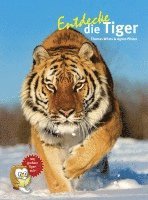 bokomslag Entdecke die Tiger