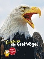 bokomslag Entdecke die Greifvögel