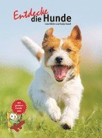 bokomslag Entdecke die Hunde