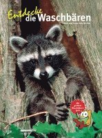 bokomslag Entdecke die Waschbären