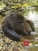 bokomslag Entdecke die Biber