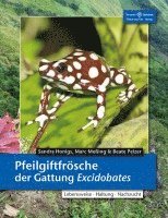 Pfeilgiftfrösche der Gattung Excidobates 1