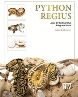 Stefan Broghammer - Python regius, Inbunden