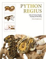 bokomslag Python regius