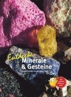 bokomslag Entdecke Minerale und Gesteine