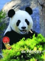 bokomslag Entdecke die Pandas