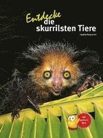 Entdecke die skurrilsten Tiere
