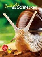 Kriton Kunz - Entdecke die Schnecken, Inbunden