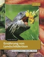 bokomslag Ernährung von Landschildkröten