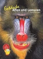 bokomslag Entdecke Affen und Lemuren
