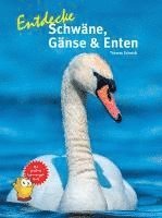 bokomslag Entdecke Schwäne, Gänse & Enten