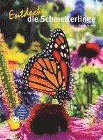 bokomslag Entdecke die Schmetterlinge