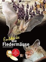 bokomslag Entdecke die Fledermäuse