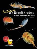 Kriton Kunz - Entdecke die Urzeitkrebse, Inbunden