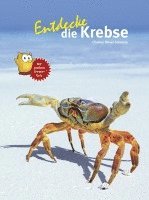 bokomslag Entdecke die Krebse