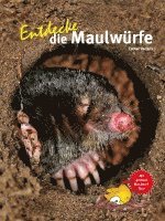 bokomslag Entdecke die Maulwürfe