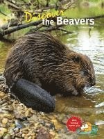 bokomslag Discover the Beavers
