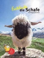 bokomslag Entdecke die Schafe