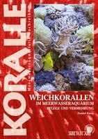 Daniel Knop - Weichkorallen im Meerwasseraquarium, Häftad