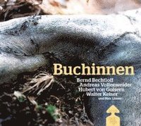 bokomslag Buchinnen